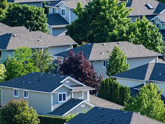 Aerial view of suburban houses with gray and blue shingle roofs among trees