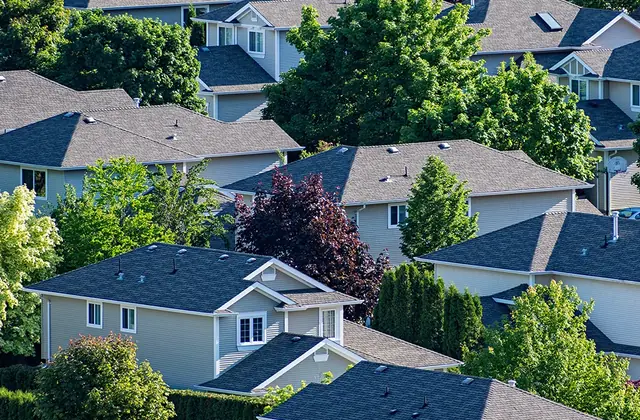 Houses with gray roofs in a tree-lined suburban neighborhood seen from above